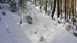 Привет от Снежного Человека