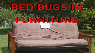 Watch this Video If You Have Bed Bugs In Your Furniture