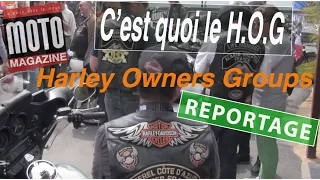 Le Hog de Harley : un club pour l'amour de la marque !