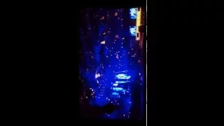 "Piano Man" Billy Joel Live at Madison Square Garden 4/15/2016