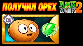 Plants vs. Zombies 2 #75 ПОЛУЧИЛ НОЧНОЙ ОРЕХ 😎