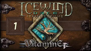 Icewind Dale: Enhanced Edition - Создание отряда партии (средоточие ярости) #1