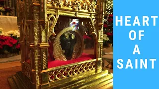 SEE the Incorrupt Heart of St. Jean Vianney | Faith Full Podcast