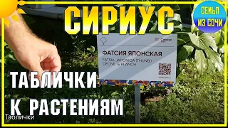 СИРИУС | Парк под открытым небом | Субтропические растения на федеральной территории