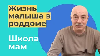Жизнь малыша в роддоме / Сергей Михайлович Ильченко