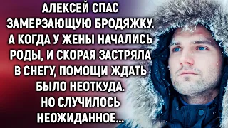 Алексей спас замерзающую бродяжку. А когда у жены начались роды…