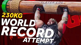 Strongmen GIANTS attempt 230kg/507lbs Log Lift | Iron Biby + Luke Stoltman