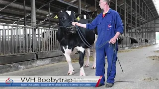 VVH Boobytrap promofilm 2020