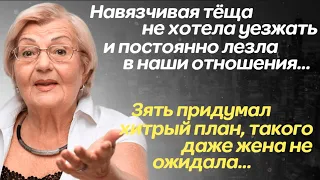 Жизненные истории 🏚️Теща не хотела уезжать, но зять проучил её...🍀Истории из жизни