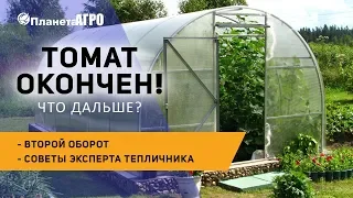 🌿 Подготовка теплицы к уборке 🌿 второй оборот - советы эксперта тепличника