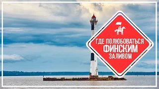 KudaGo Петербург: где полюбоваться Финским заливом?