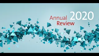 Annual Review 2020