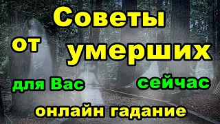 Советы от умерших сейчас | Онлайн гадание