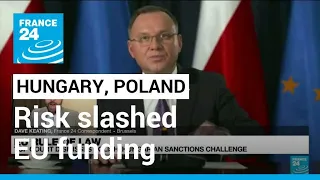 EU top court dismisses Polish, Hungarian rule of law challenge • FRANCE 24 English