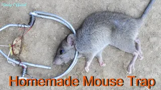 How To Make A Mouse Trap | Best Homemade Mouse trap