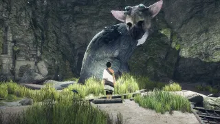 The Last Guardian (PS5 60 FPS) Full Game