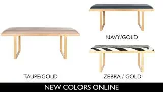 Millie Loft Bench / Coffee Table by Safavieh