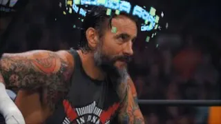 CM punk “cult of personality” theme remix