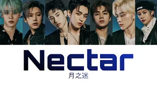 【日本語訳/歌詞動画/パート分け】WayV(威神V) Nectar(月之迷)