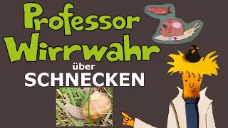 Tierdokumentation über Schnecken für Kinder - Weinbergschnecke / Bänderschnecke / Nacktschnecken