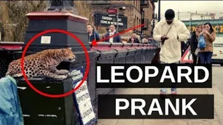 Leopard Prank | Camden Town | London