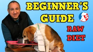 Beginner's Guide To Raw Feeding Dogs