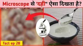 माइक्रोस्कोप से दही ऐसा दिखता है? What does yogurt look like under a microscope? #Shorts