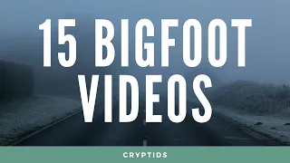 Real Bigfoot / Sasquatch Videos 2022