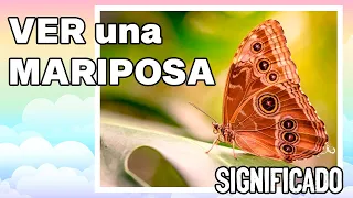 ¿Qué SIGNIFICA cuando VES una MARIPOSA? Significado y simbolismo