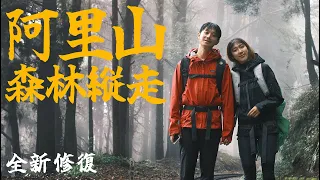 【神阿古道縱走】阿里山，新維護好的縱走登山線！單程3小時，進入魔法森林世界～【你也能到的一日祕境】嘉義｜Chiayi