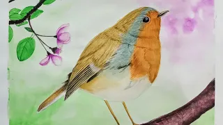 Robin Watercolor Painting