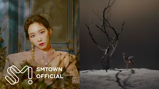 TAEYEON 태연 '사계 (Four Seasons)' MV