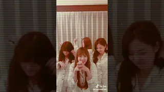 [TikTok] BLACKPINK - Gummy Bear Dance