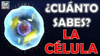 ¿Cuánto Sabes Sobre "LA CÉLULA"? Test/Trivia/Quiz