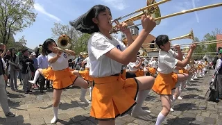 Blumen Hügel Parade2016 - Sing Sing Sing - Kyoto Tachibana SHS Band