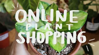 How I Online Plant Shop | shopping YOUR wishlist plants