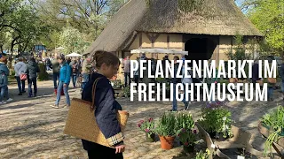 Norddeutschlands schönster Pflanzenmarkt | Staudenmarkt  im  Freilichtmuseum am Kiekeberg