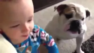 Папа кормит малыша, а собака его облизывает   Смешные дети и животные