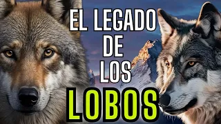 SECRETOS DE LA MANADA: LECCIONES DE SABIDURÍA DE LOS LOBOS