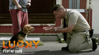 LUCKY - Teaser "C'est au chien"