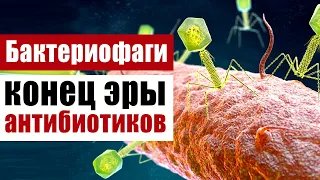 Бактериофаги, пожиратели бактерий и конец эры антибиотиков