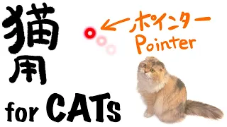 【猫用動画】ポインター/【VideoForCats】Pointer