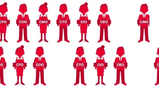 Rapid Executive Deployment - Interim CEO, CFO, COO, CIO, CTO, CMO