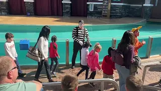 Watch Tom The SeaWorld Mime SeaWorld Orlando | February 2024