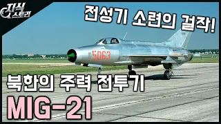 윗동네 주력 전투기 "Mig-21" / 전성기 소련의 걸작품! [지식스토리]