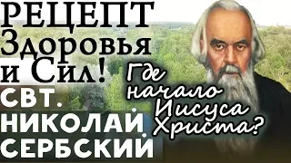 Об Иoaннe Пpeдтeчe. Где начало Иисуса Христа? Николай Сербский. Рецепт Здоровья, Сил и Радости души