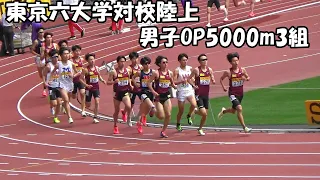 [東京6大学対校]男子OP5000m3組