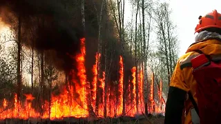 Названы самые пожароопасные регионы России
