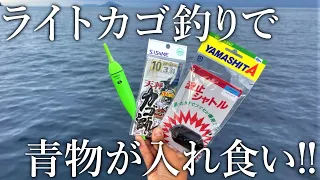 【カゴ釣りを始めたい方へ】簡単に組めるライトカゴ釣りで堤防から青物が入れ食い！