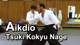 Aikido - Throw using the whole body softly SHIRAKAWA RYUJI shihan